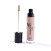 Bassam Fattouh Fits All Concealer & Corrector